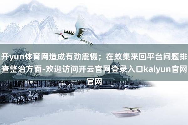 开yun体育网造成有劲震慑；在蚁集来回平台问题排查整治方面-欢迎访问开云官网登录入口kaiyun官网